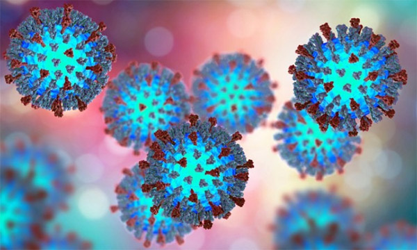 Virus Paramyxovirus là nguyên nhân bệnh sởi 